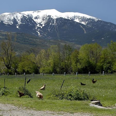 Mas Mallol Puigcerdà Buitenkant foto